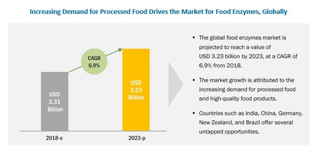 Food Enzymes Market by Type, Application, Source, and Region - 2023 ...