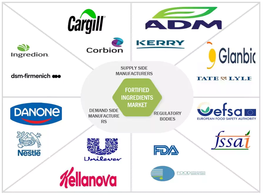 Top Companies in Fortified Ingredients Market