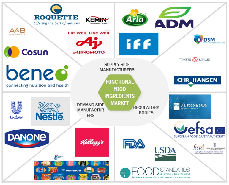 Functional Food Ingredients Market Ecosystem