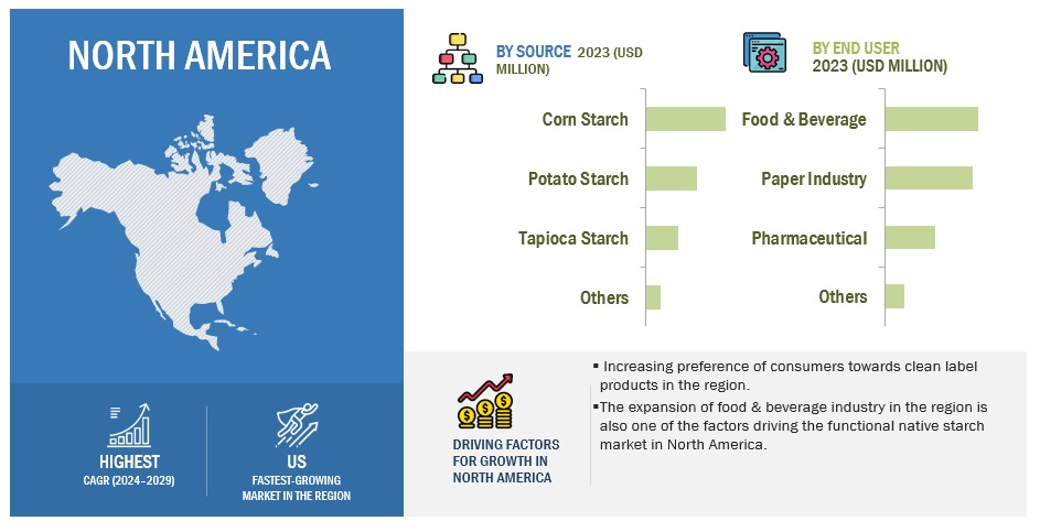 Functional Native Starch Market Size, and Share