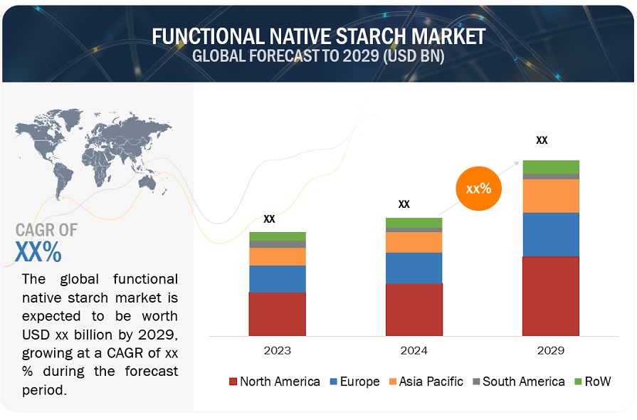 Functional Native Starch Market