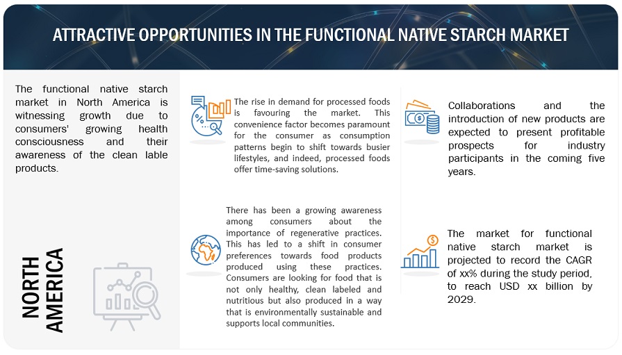 Functional Native Starch Market Opportunities