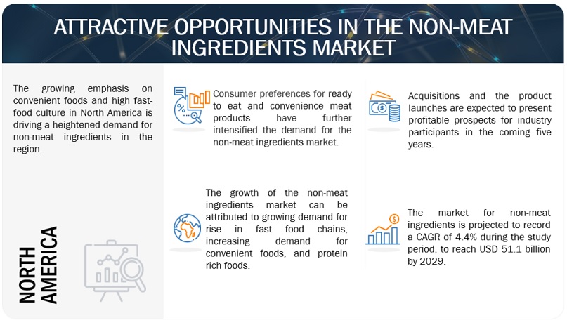 Non-meat Ingredients Market Opportunities