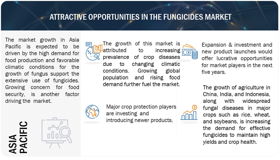 Fungicides Market Opportunities