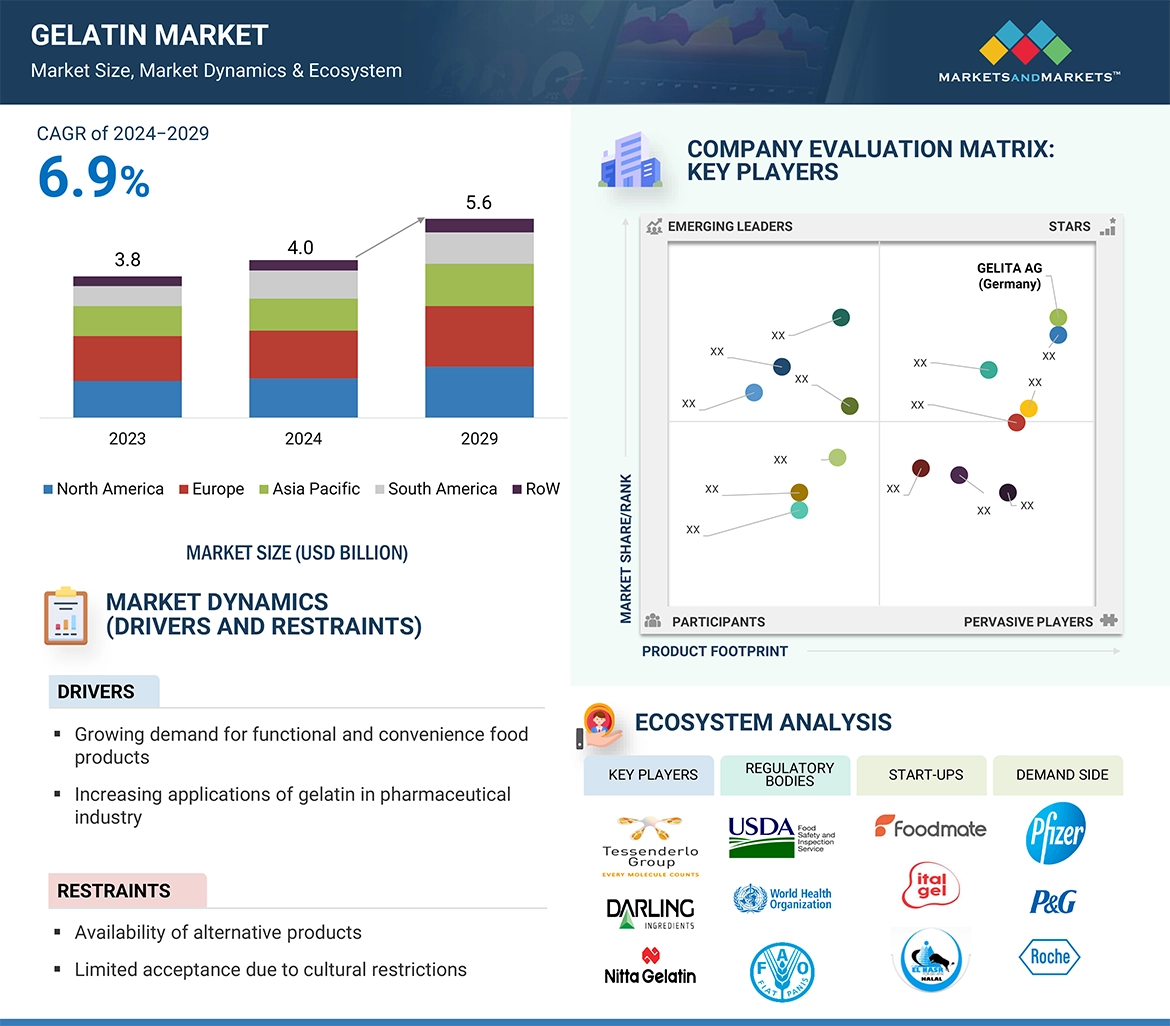 Gelatin Market