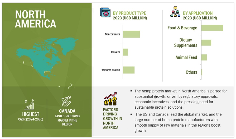 Hemp Protein Market Size, and Share