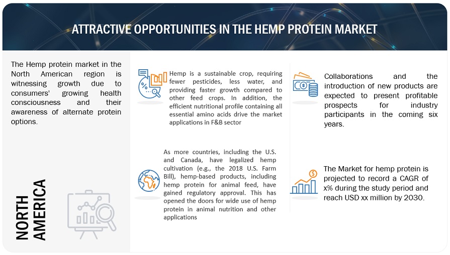 Hemp Protein Market Opportunities