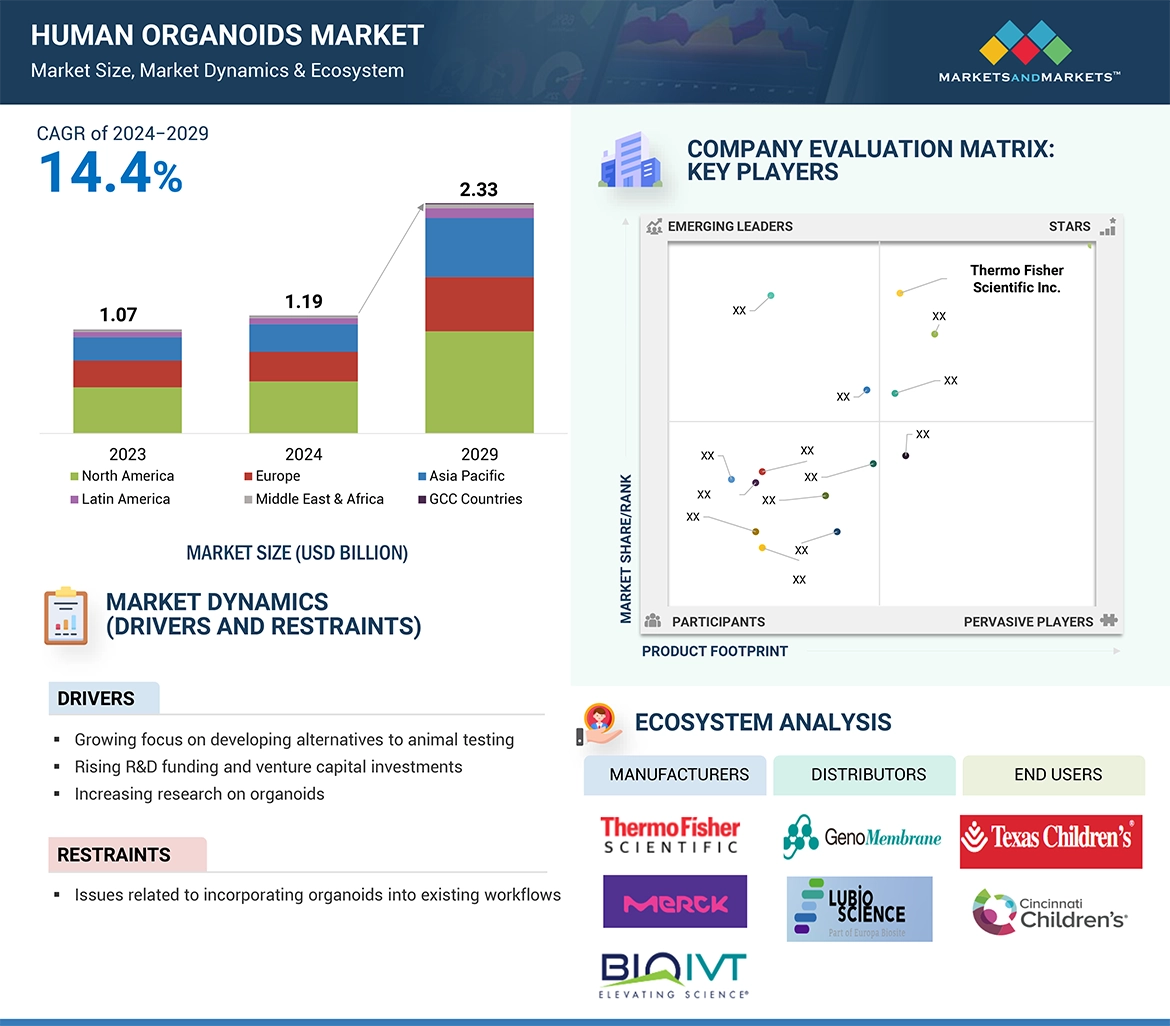 Human Organoids Market