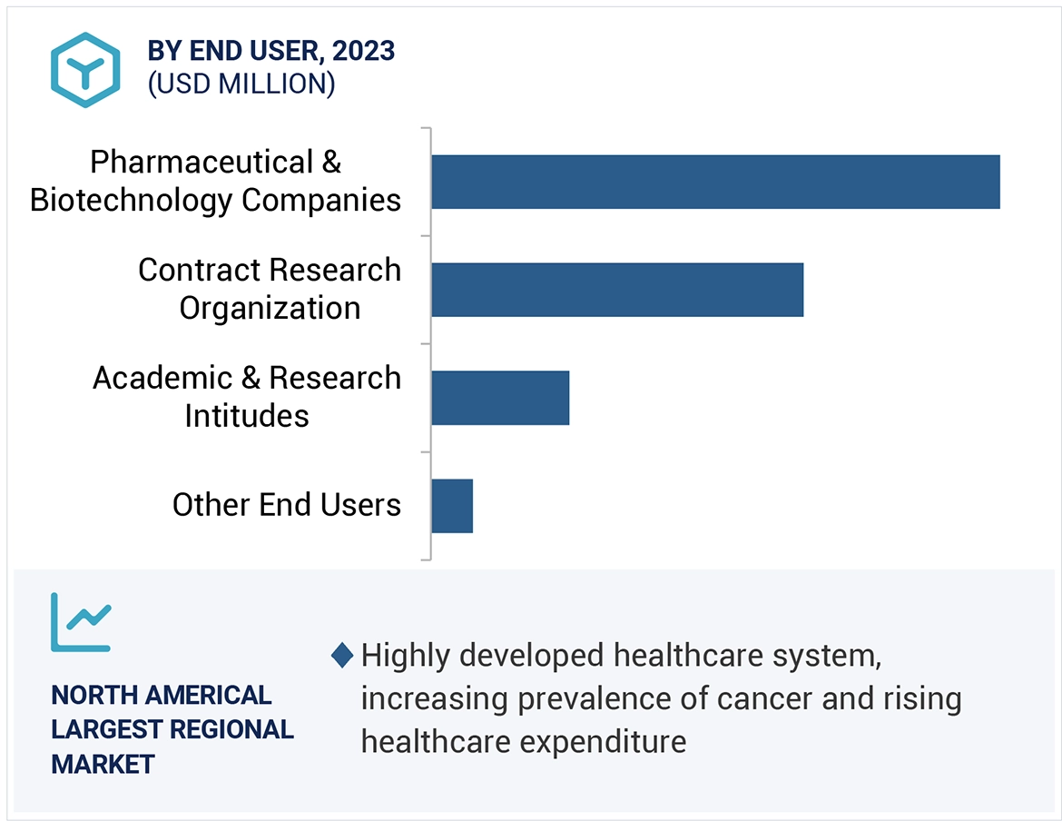 Human Organoids Market