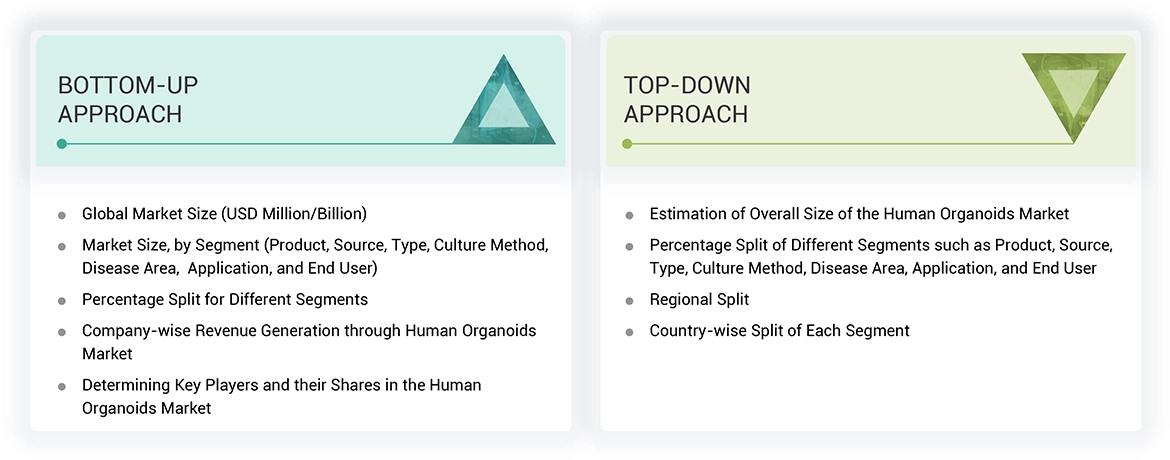 Human Organoids Market