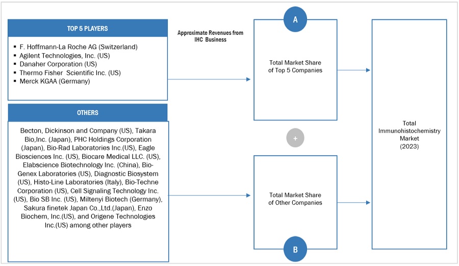 Immunohistochemistry  Market Size, and Share 