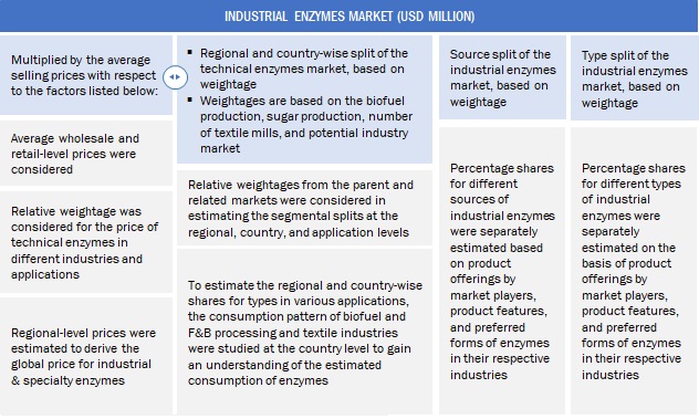 Industrial Enzymes Market Top Down Approach