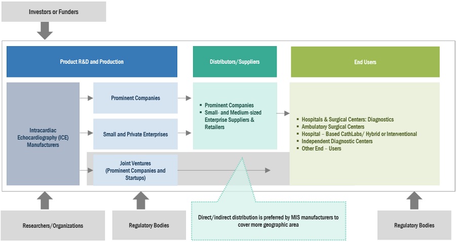 Intracardiac Echocardiography (ICE) Market Ecosystem