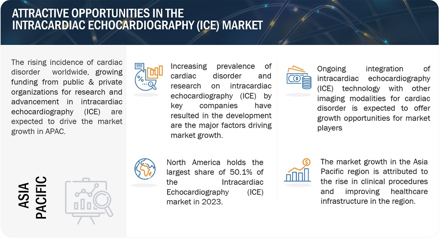 Intracardiac Echocardiography (ICE) Market