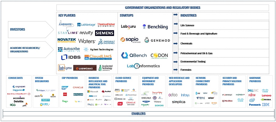 Laboratory Informatics Market Ecosystem