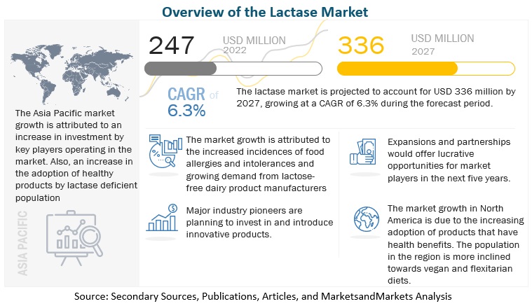 Lactase Market
