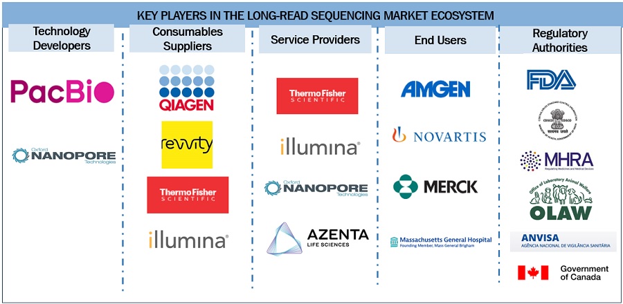 Long Read Sequencing Market Ecosystem