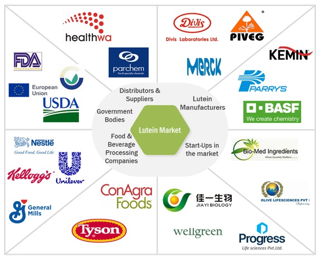 Lutein Market Ecosystem