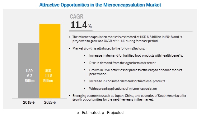 Microencapsulation Market Size Global Industry Report - 