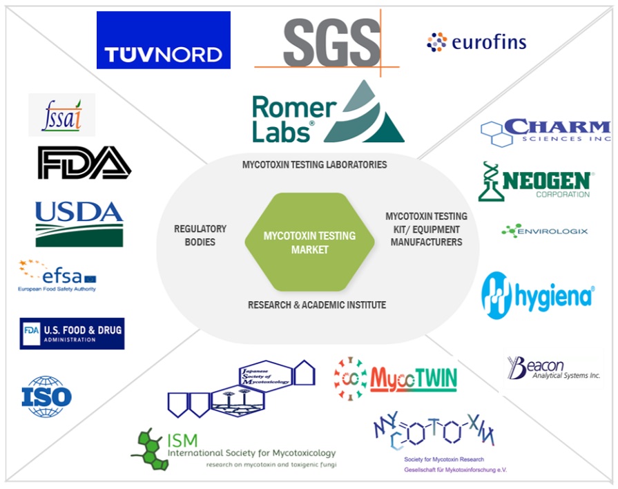 Top Companies in Mycotoxin Testing Market
