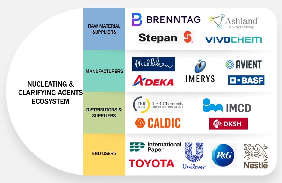 Nucleating & Clarifying Agents Market Ecosystem