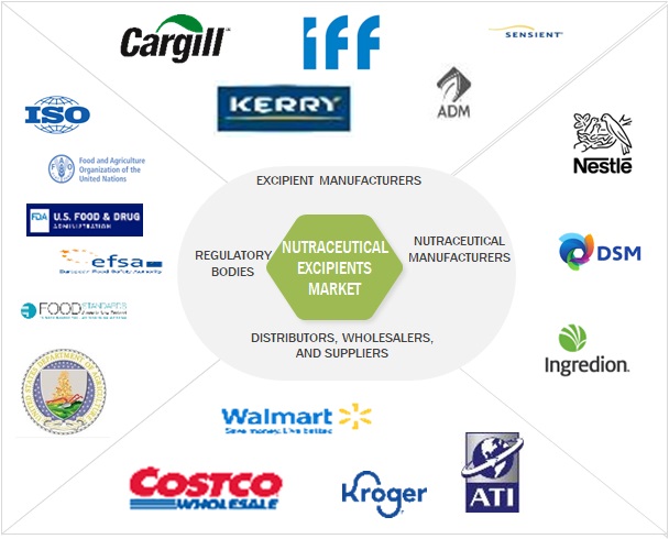 Nutraceutical Excipients Market