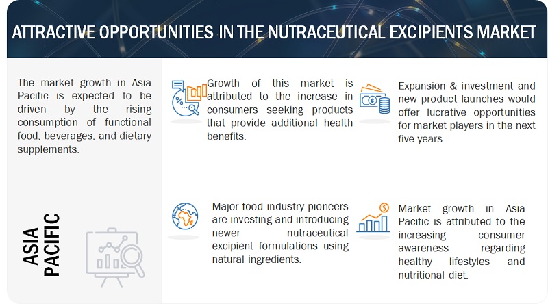 Nutraceutical Excipients Market