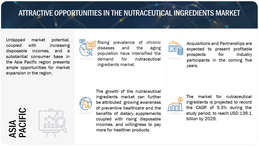 Nutraceutical Ingredients Market Opportunities