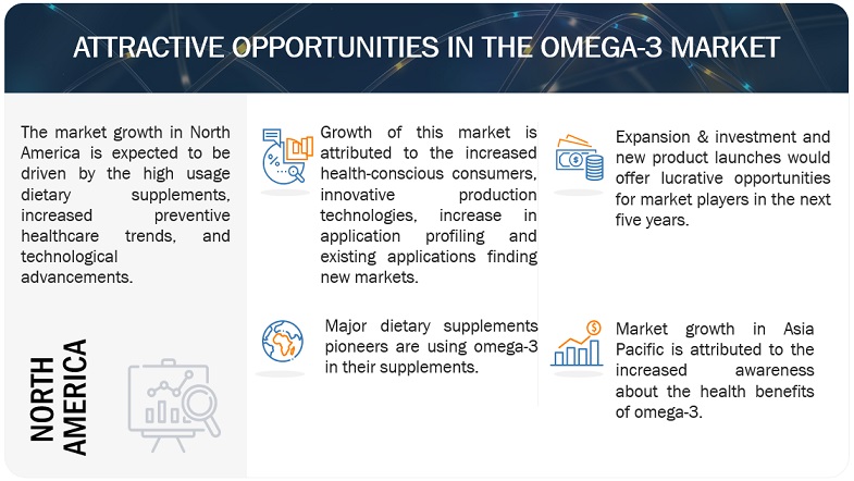 Omega-3 Market Opportunities