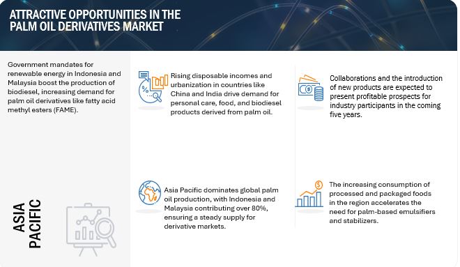 Palm Oil Derivatives Market Opportunities