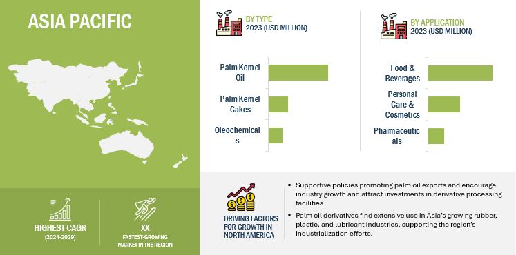 Palm Oil Derivatives Market by Region