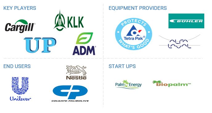 Palm Oil Derivatives Market Ecosystem