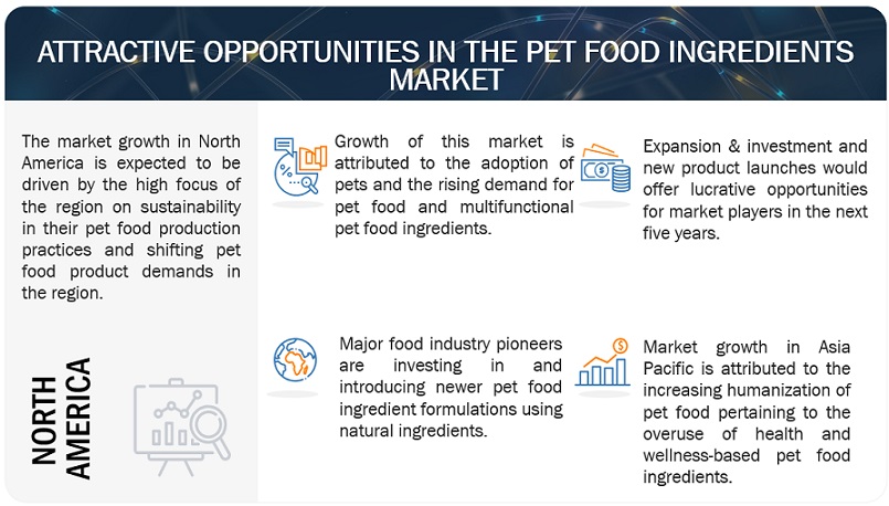 Pet Food Ingredients Market Growth Trends