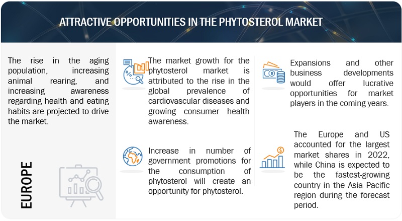 Phytosterols Market