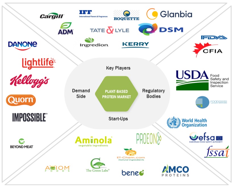 Plant-based Protein Market Ecosystem