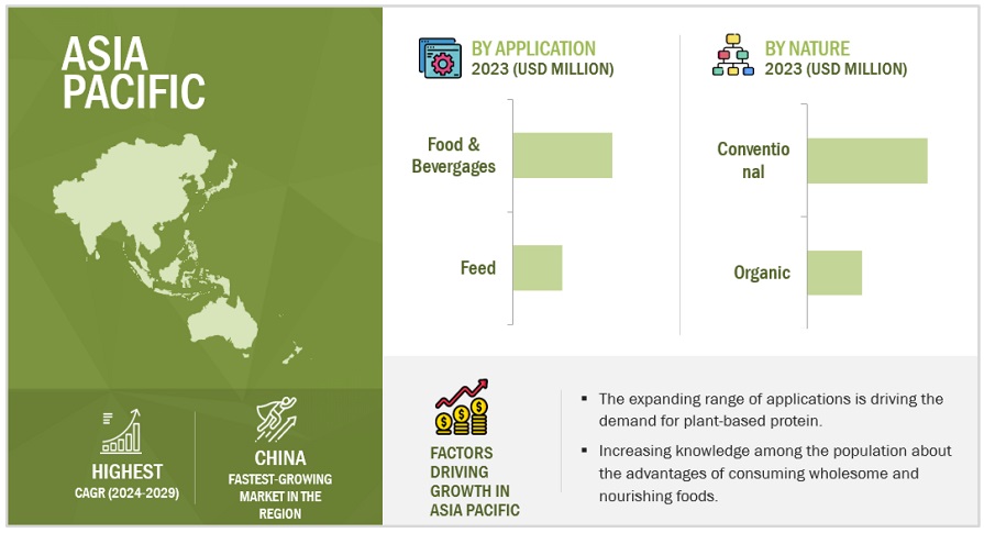 Plant-based Protein Market by Region