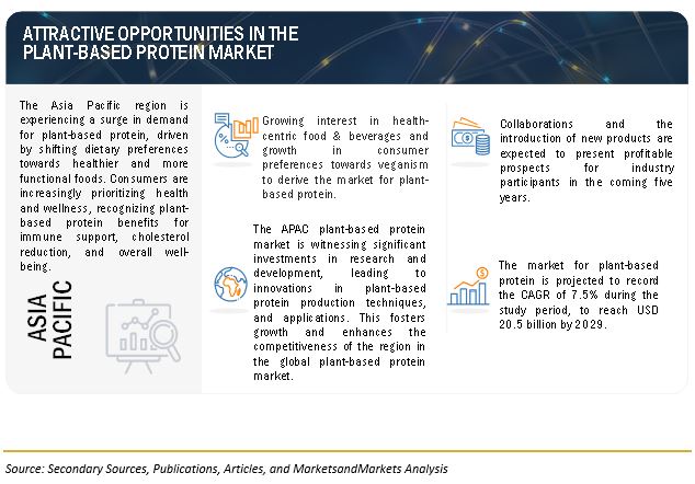 Plant-based Protein Market Opportunities