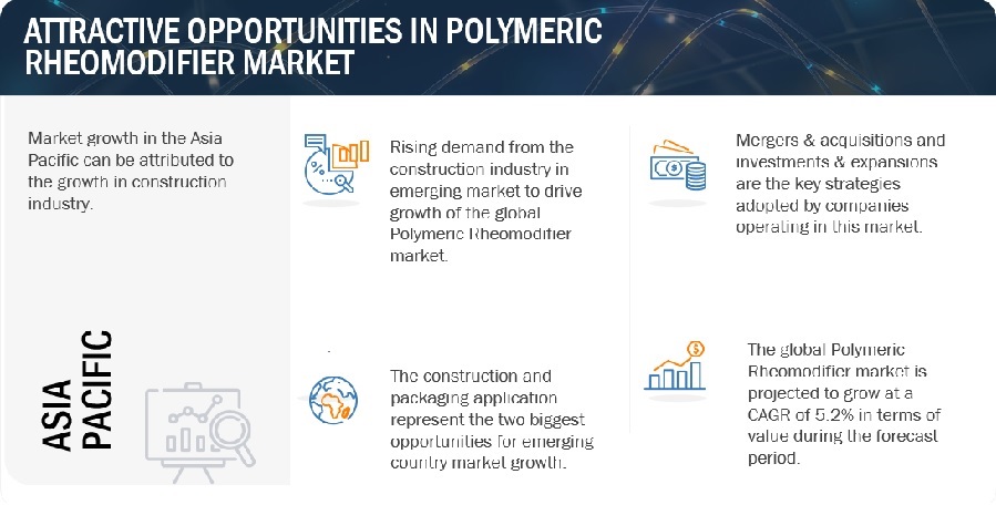 Polymeric Rheomodifiers Market