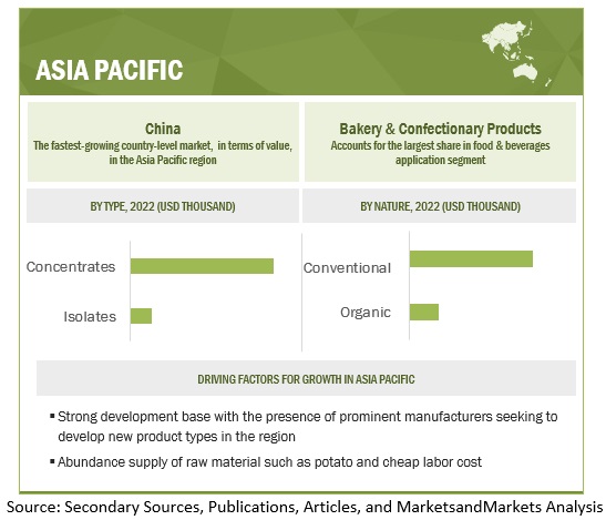 Potato Protein Market by Region