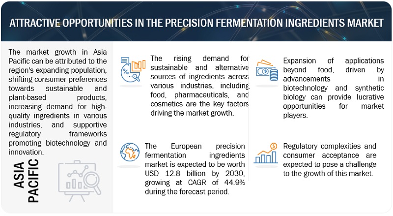 Precision Fermentation Ingredients Market Attractive Opportunities