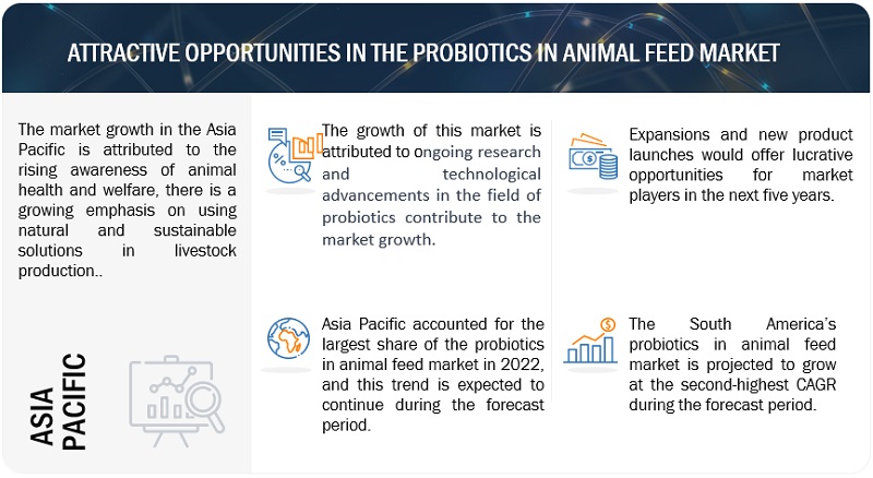 Probiotics in Animal Feed Market