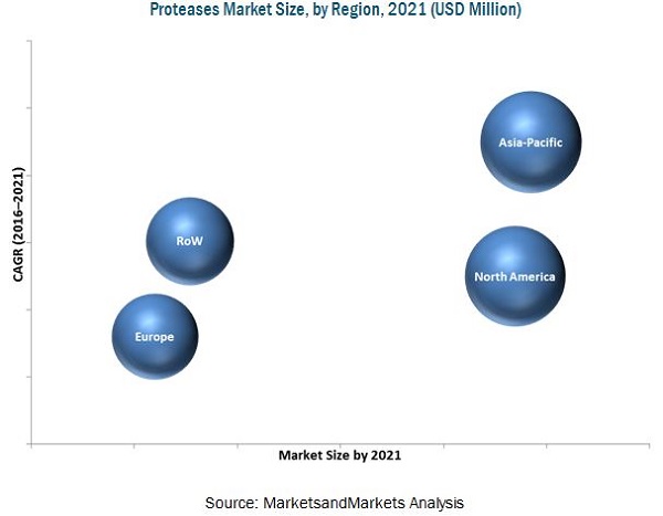Proteases Market