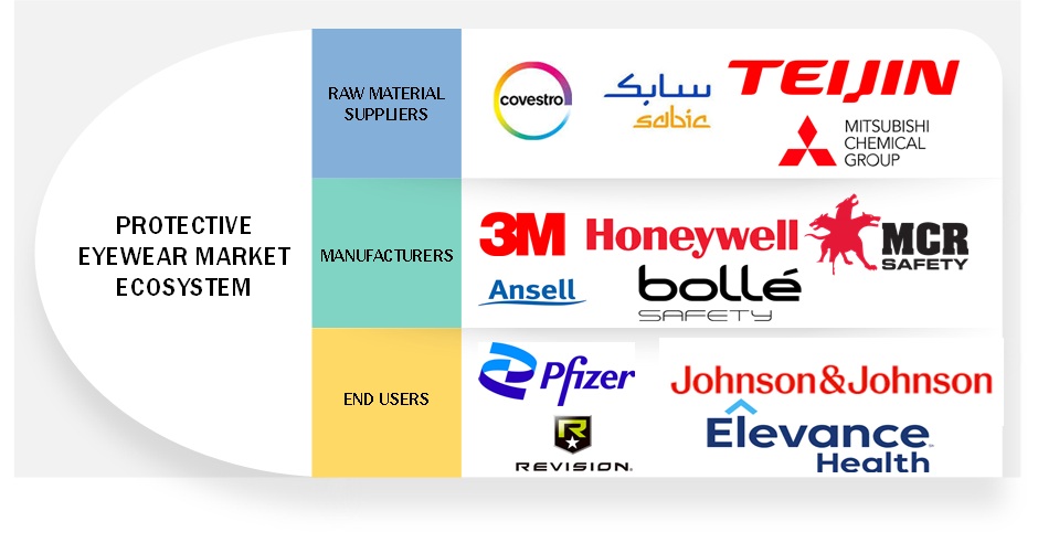 Protective Eyewear Market Ecosystem