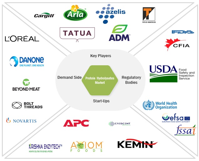 Protein Hydrolysates Market