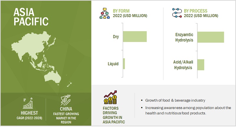 Protein Hydrolysates Market by Region