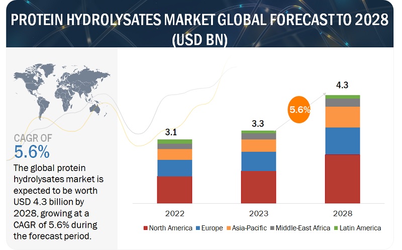 Protein Hydrolysates Market