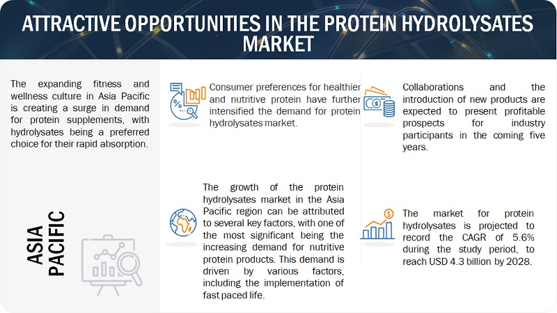 Protein Hydrolysates Market