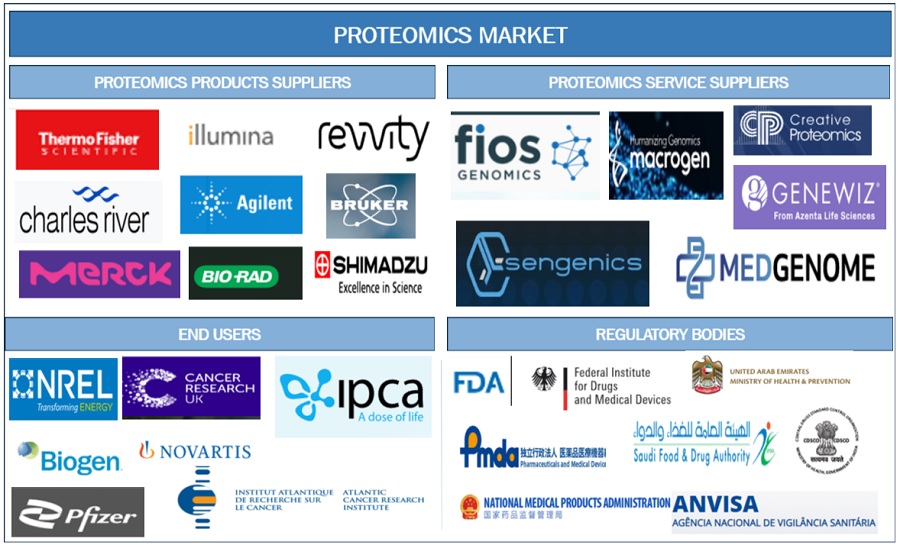 Proteomics Market Ecosystem