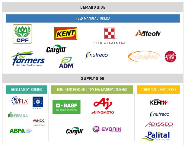 Top Companies in Ruminant Feed Additives Market