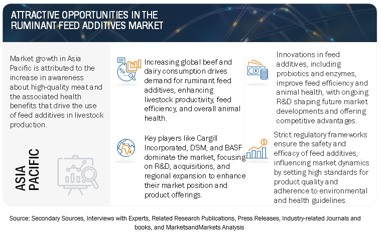 Ruminant Feed Additives Market Opportunities